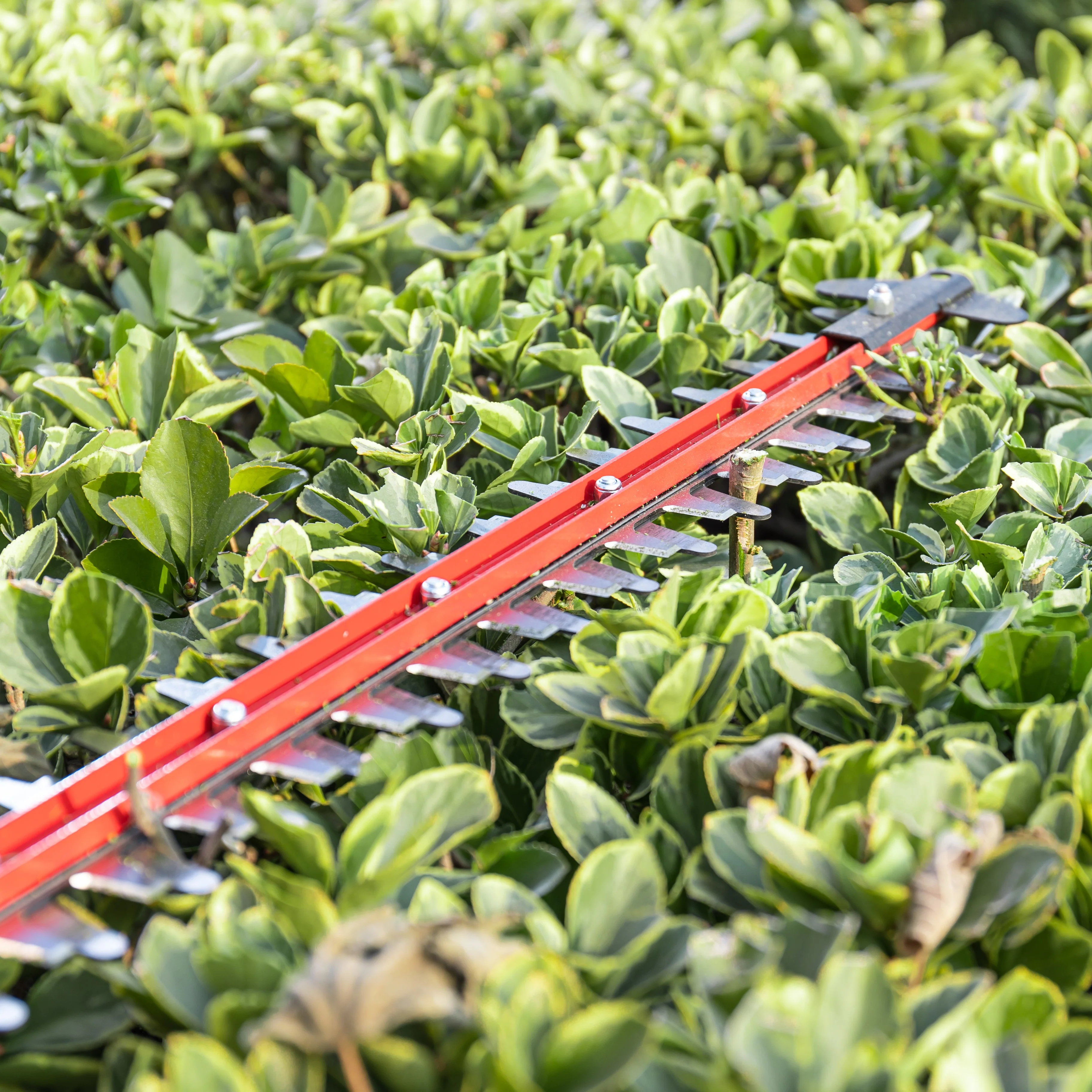 POWERALL 24V Hedge Trimmer 61cm - 2Ah Battery - Image 7