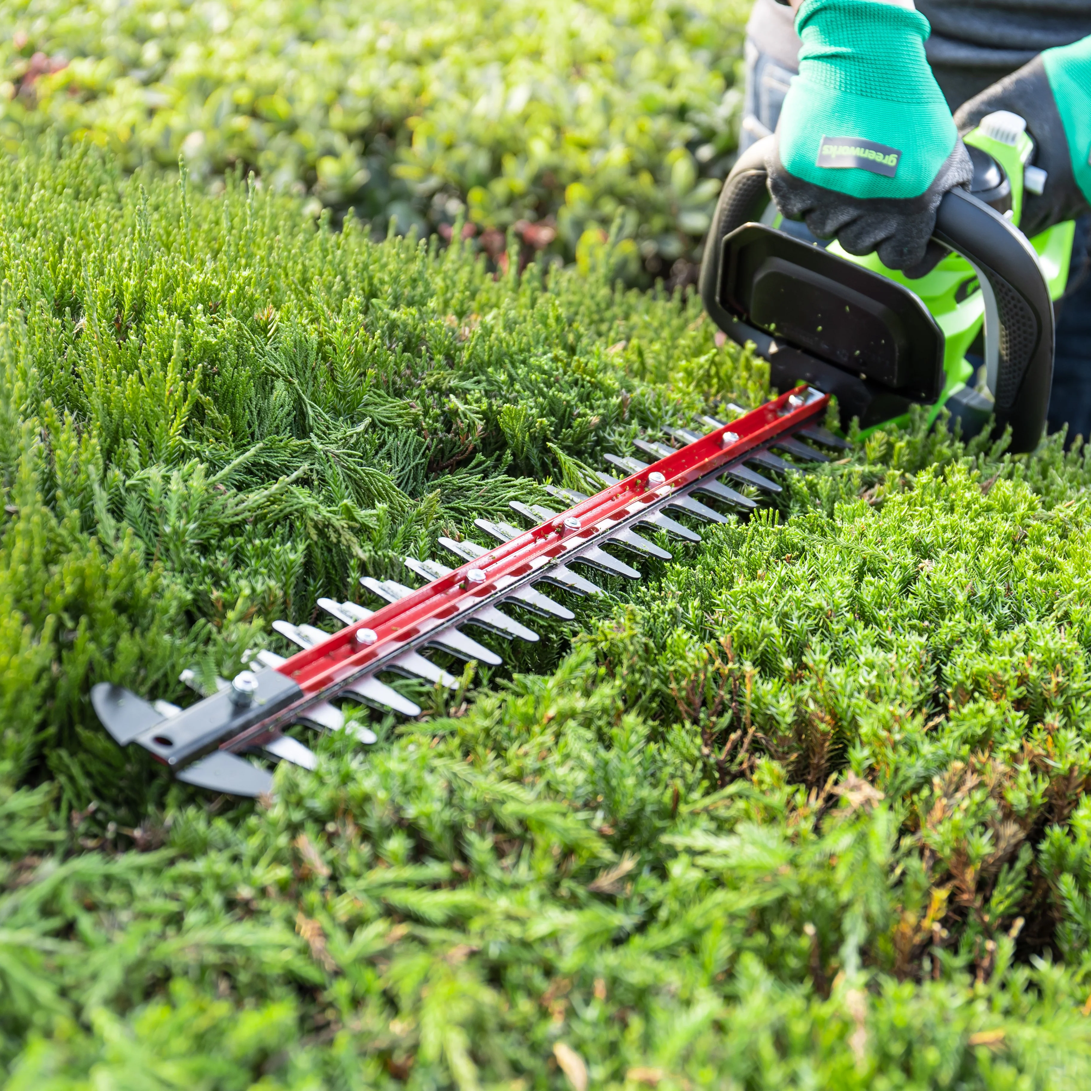 POWERALL 24V Hedge Trimmer 61cm - 2Ah Battery - Image 2